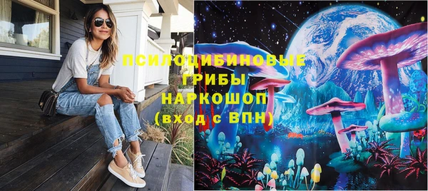 ГАЛЛЮЦИНОГЕННЫЕ ГРИБЫ Вязьма