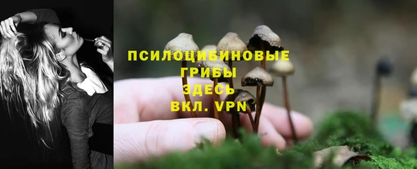 мет Вяземский