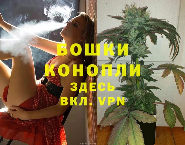 ГАЛЛЮЦИНОГЕННЫЕ ГРИБЫ Вязьма
