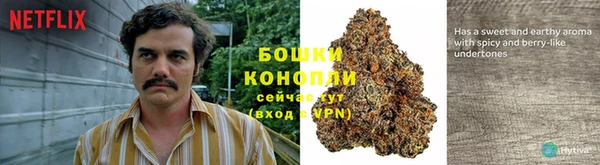 ГАЛЛЮЦИНОГЕННЫЕ ГРИБЫ Вязьма