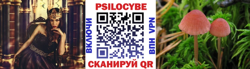 дарнет шоп  Дмитровск  Псилоцибиновые грибы прущие грибы 